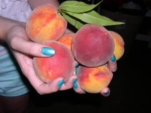 Peaches might have avoided most of the historic flood’s damaging effects.
