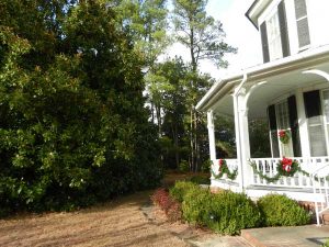 ELise-Herlong-Home