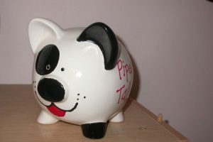 Win this Puppy Bank by entering the contest to name the most black and white items.