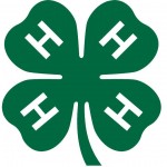 4h_clover