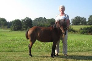 Martha MacDonald with her miniature horse, Cara who is recovering from being attacked.