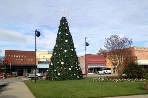 edgfield-sc-town-square-xmas-tree