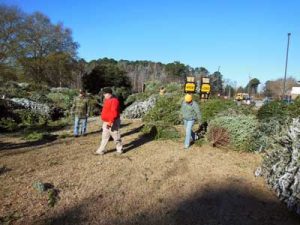Corps collects 1,500 Christmas trees to become fish attractors at Thurmond Lake