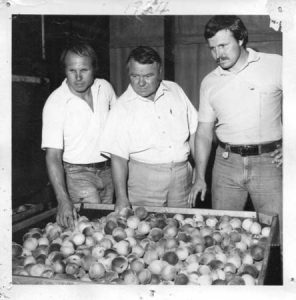 The Yonces today running the J. W. Yonce peach business: left to right, Larry, his father J. W. Yonce, Jr., and Sonny.
