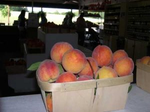 peach-basket