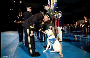 SSG Barbare’s companion Javier receives recognition during the retirement ceremony at Ft. Meyer.