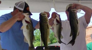 bass-fishing-tournament