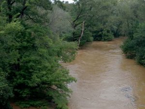 stevens-creek-flood-oct-2015