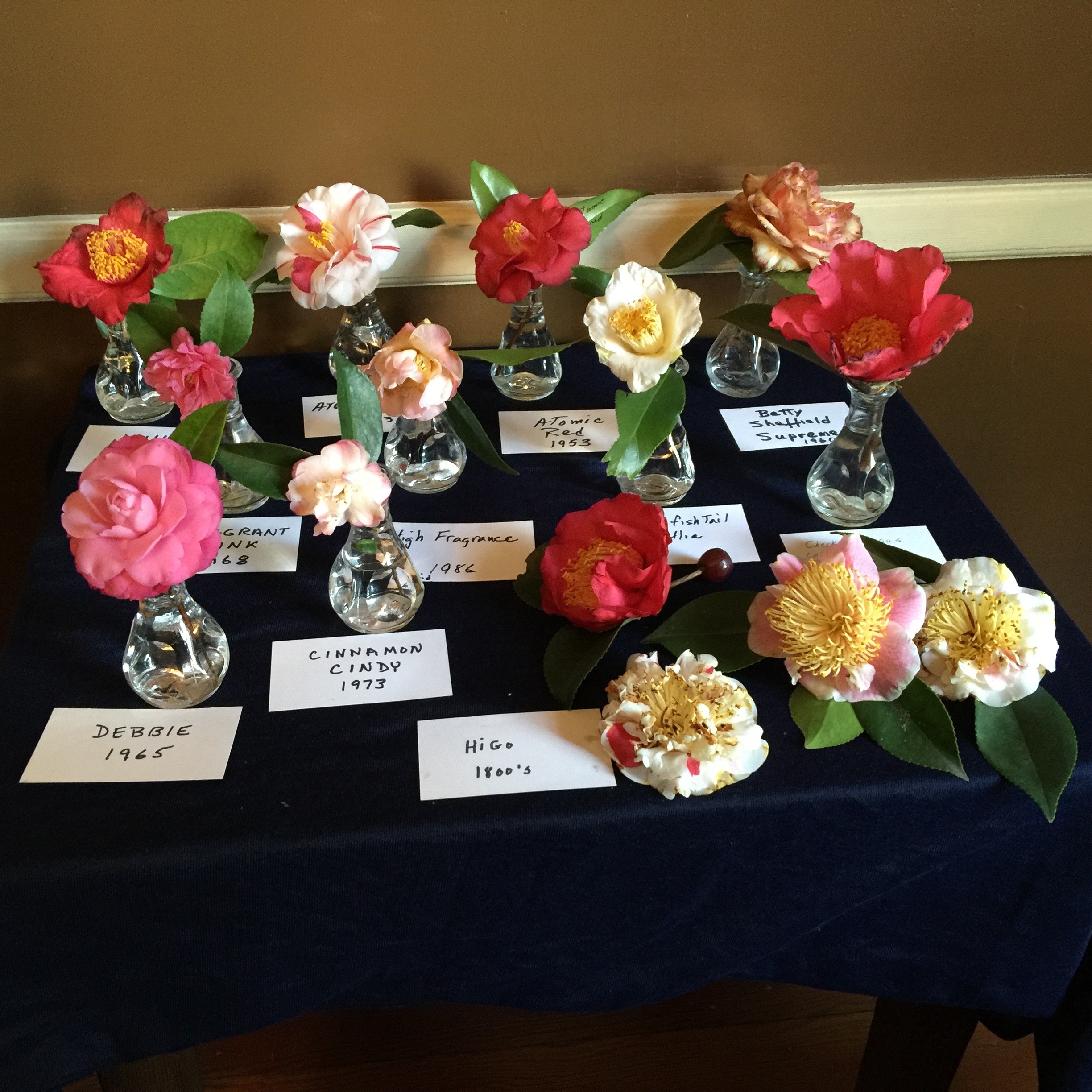 Tabletop holding individual blooms classified by name and year of naming. 
