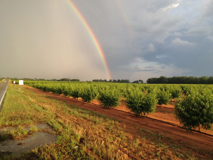 Rainfall Relieves Drought Conditions Statewide 