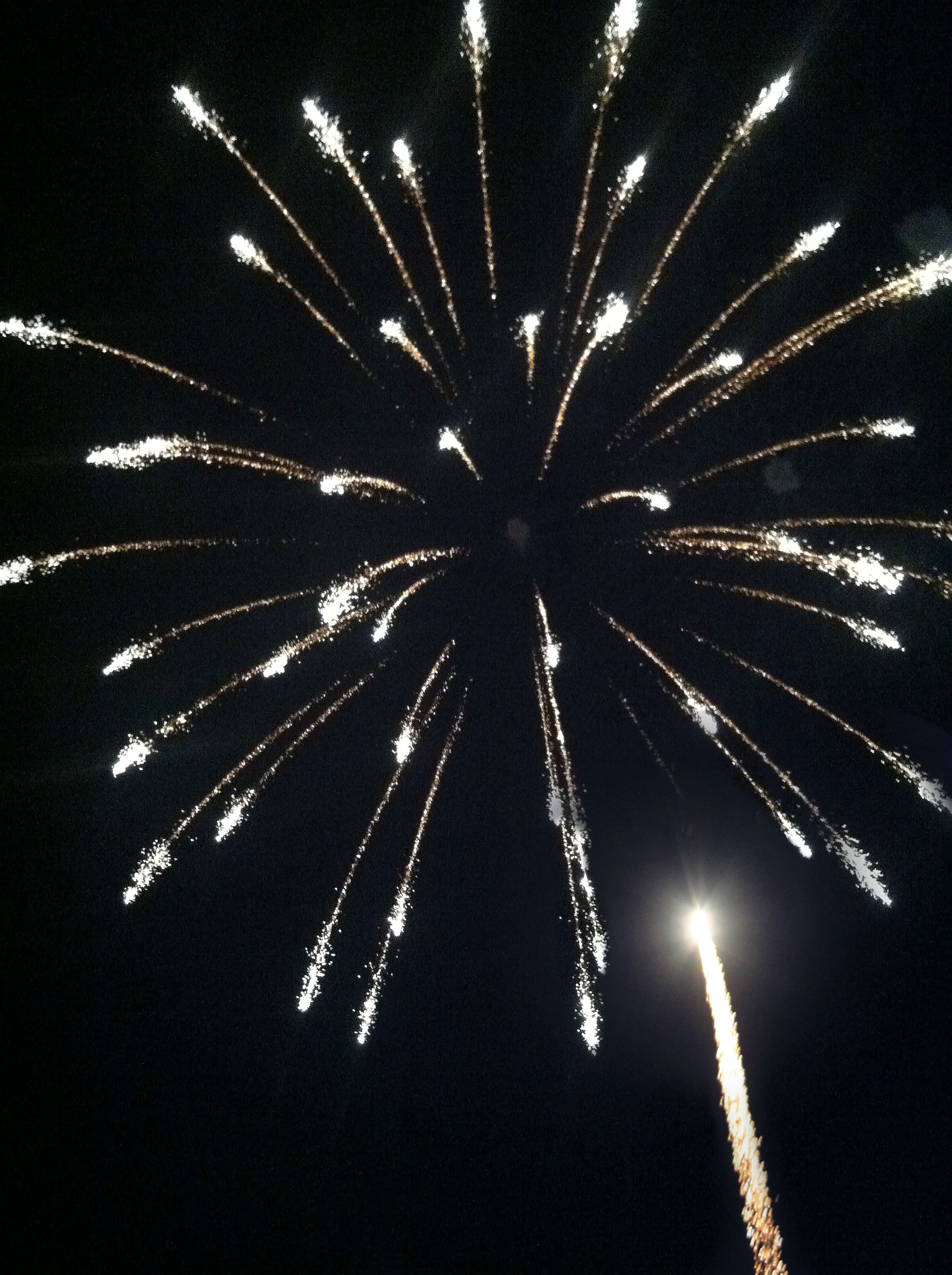 NWTF-Fireworks