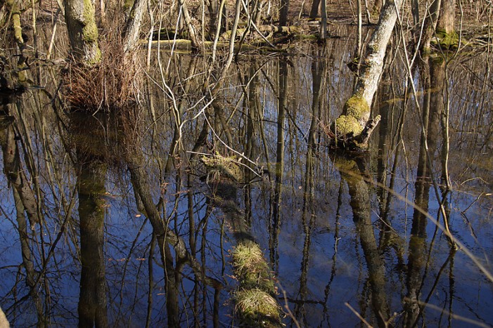 FEMA Grant to S.C. to Update Flood Maps