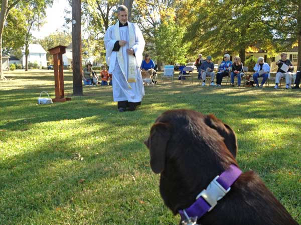 12th Annual Blessing of the Animals