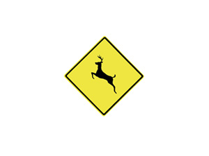 Motorists Need to Watch for Deer on State Roads