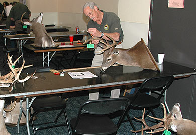 Antler Measuring Sessions Set Across South Carolina