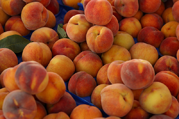 Clemson Monitors Weather Impact on Peaches