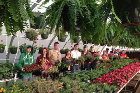 Annual Strom Thurmond FFA Plant Sale Now Open