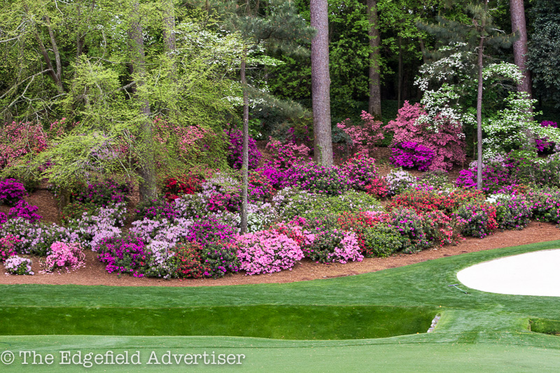 Masters-2013-Friday-15