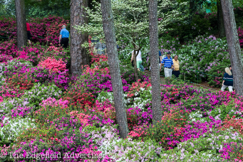 Masters-2013-Friday-21