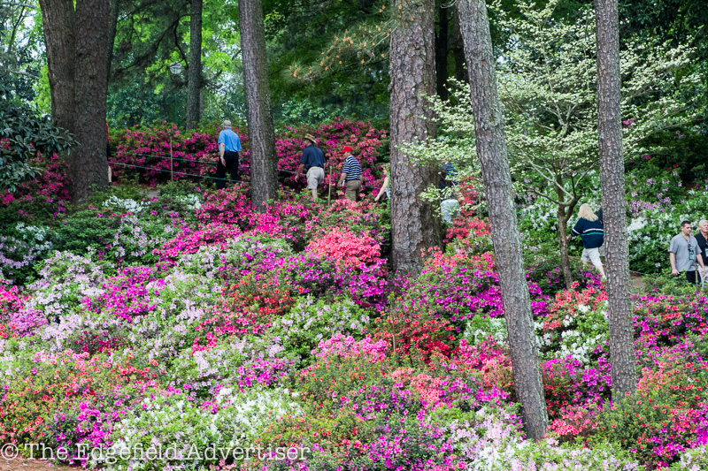 Masters-2013-Friday-22