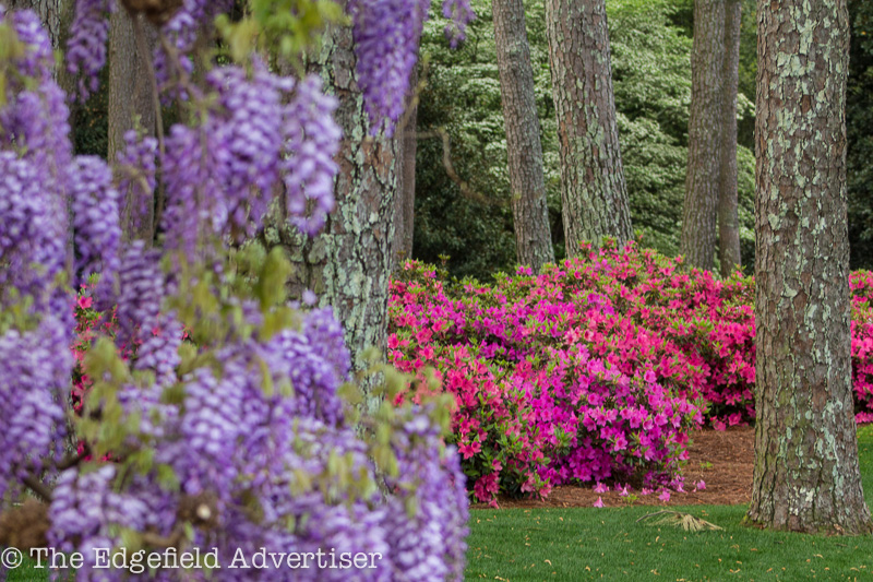 Masters-2013-Friday-9