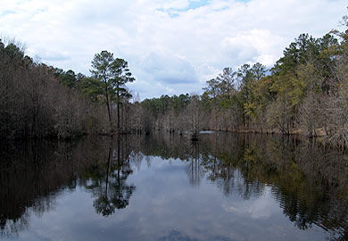 Aiken County Wildlife Area Opens to the Public Saturdays in May