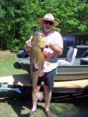 32 1/2 Lbs Catfish Caught on Stevens Creek