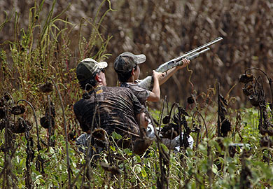 Youth Dove Hunt to be Held in Abbeville County Sep. 7