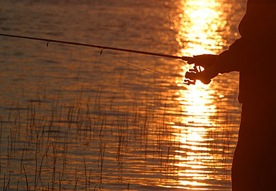 Renew Your State Hunting and Fishing License