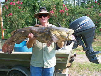 The Stevens Creek Fishing Report