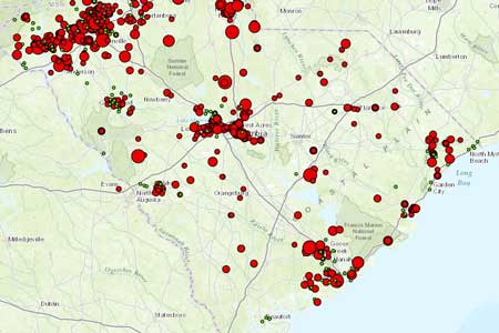 Fireflies Glowing in S.C.; Conservation Needed