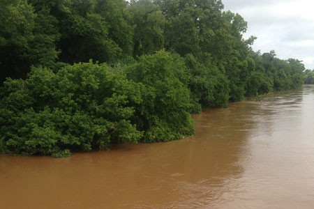 Rains Raise Stevens Creek to Near Flood Stage