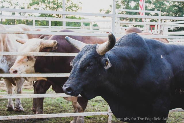 Sandy Oaks Pro Rodeo-21