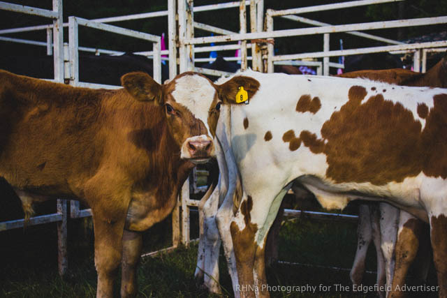 Sandy Oaks Pro Rodeo-37