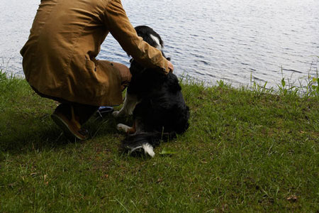 Edgefield Plumber Saves Family Dog From Drowning