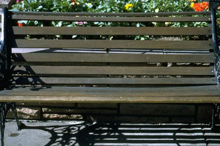 bench