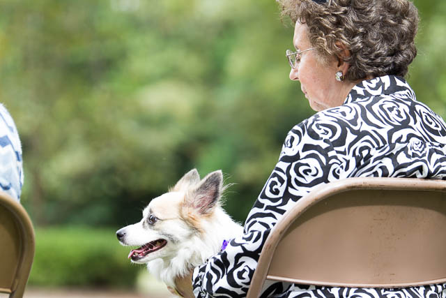 Blessing of the Animals 2013-22