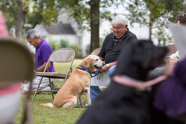 Blessing of the Animals 2013-26