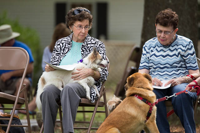 Blessing of the Animals 2013-32