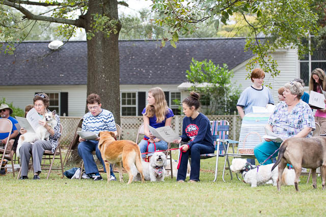 Blessing of the Animals 2013-36