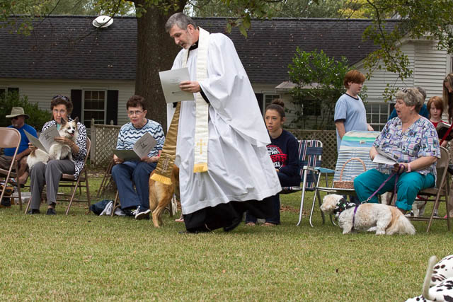 Blessing of the Animals 2013-38