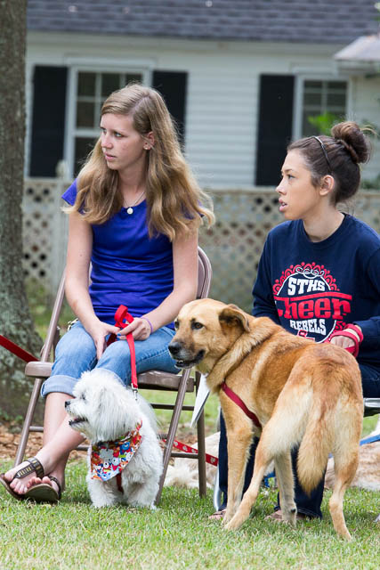 Blessing of the Animals 2013-43