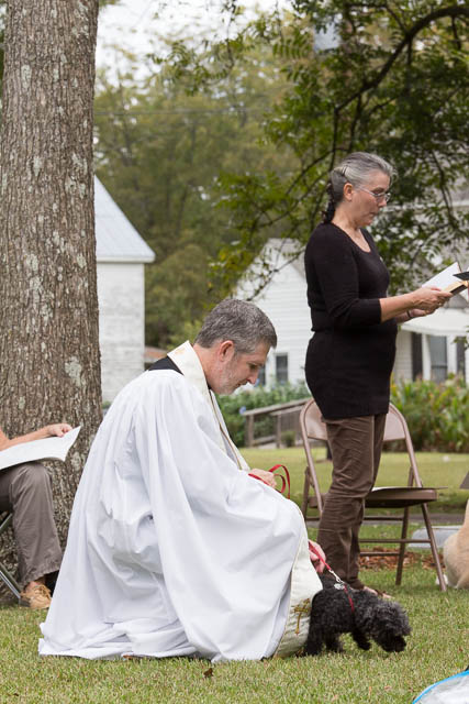 Blessing of the Animals 2013-44