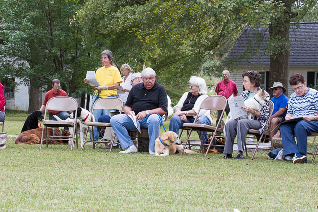 Blessing of the Animals 2013-45