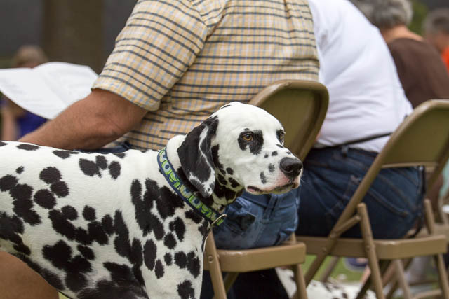 Blessing of the Animals 2013-48