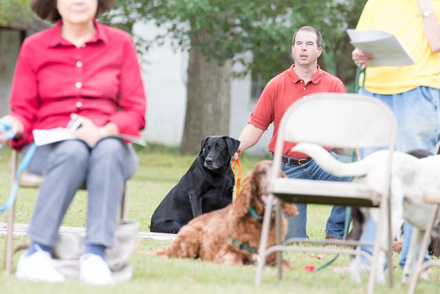 Blessing of the Animals 2013-51