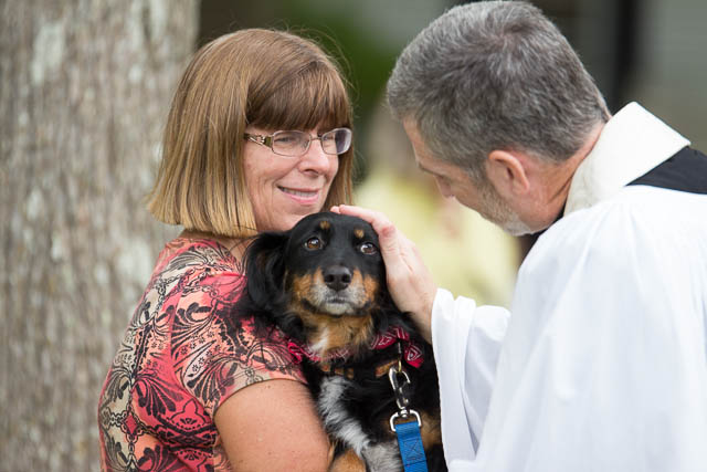 Blessing of the Animals 2013-52