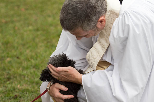 Blessing of the Animals 2013-55