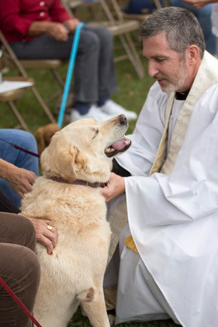 Blessing of the Animals 2013-56