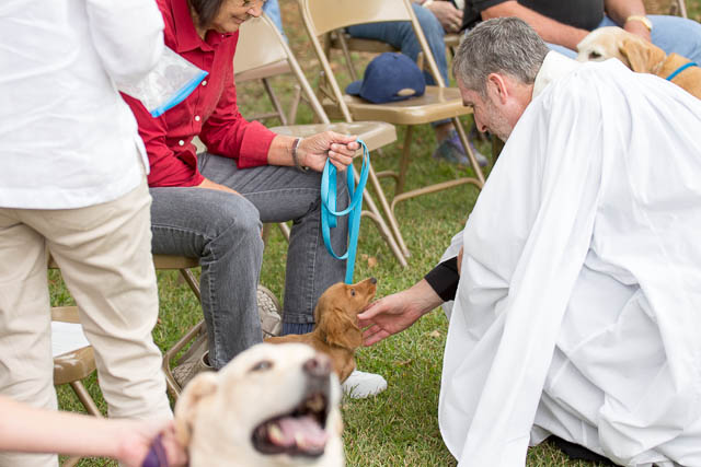 Blessing of the Animals 2013-58